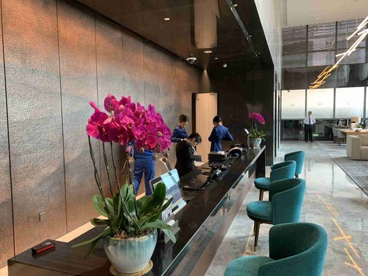 ASCOTT ชุดเฟอร์นิเจอร์ไม้ Solid ชุดห้องนั่งเล่นสำหรับอพาร์ทเมนท์ ODM